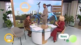 Newsy 2