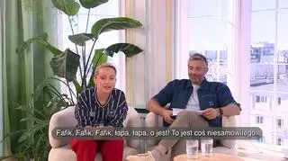 Ile jest psa w robo-psie? - napisy