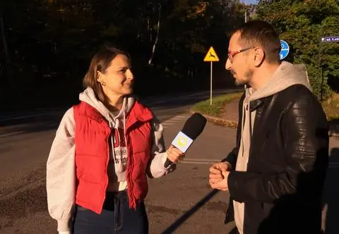 Co zrobić po zderzeniu z dzikim zwierzęciem na drodze? "Zachowajmy zimną krew"