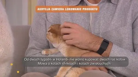 Klatka kluczowa-162356
