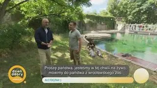 Ale foczka! - napisy