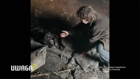 Uwaga! TVN: Latami żyła w osmalonej komórce bez wody i prądu