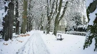 Pogoda na czwartek. W których regionach spadnie śnieg? Może przybyć nawet 10 cm