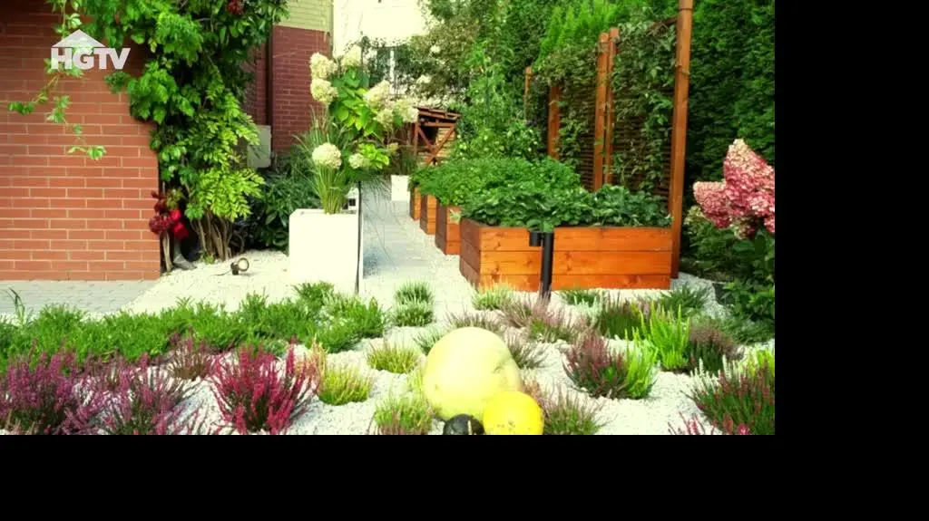 20240626_HGTV_MWO_Warzywnik