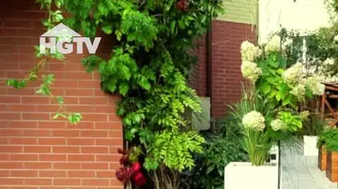 20240626_HGTV_MWO_Warzywnik
