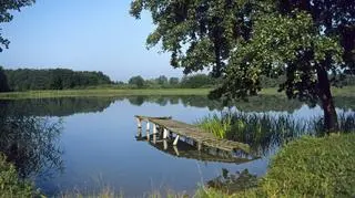"Bon Warmia Mazury 2026" - czym jest?