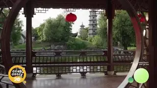 Japonia – tajemnica długowieczności