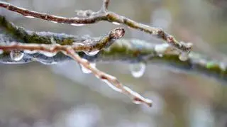 Pogoda na poniedziałek. Miłośnicy wiosny nie będą zachwyceni