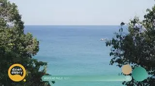 Wspólne pasje, wspólne życie Pawła i Piotra Pająków 