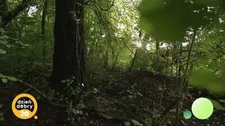 W leśnej kąpieli - napisy