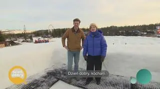 W śnieżnym labiryncie - napisy