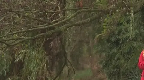 DD_20241114_Pogoda_REP