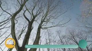 Od 130 kg do sportowej pasji! Przemiana Barda Kowalskiego - napisy