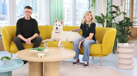 Czy psy troszczą się o swoich opiekunów? 