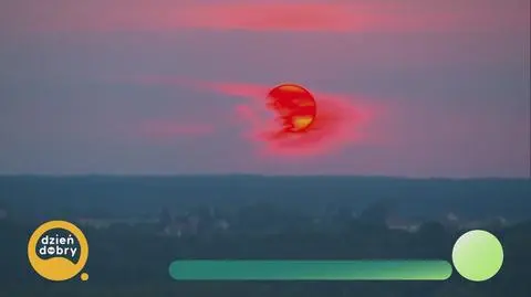 Klatka kluczowa-3659