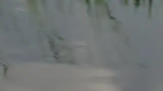 Co się wydarzy w 8. odcinku programu "Wiza na miłość. Dalsze losy 8"?