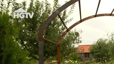 20240710_HGTV_MWO_Kwiaty
