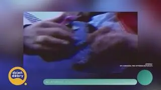 40 lat minęło - Kobranocka świętuje muzyczny jubileusz - napisy