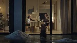 Chcesz podarować czworonoga pod choinkę? Wzruszająca kampania Doliny Noteci przypomina, że pies to nie prezent, a przyjaciel na lata