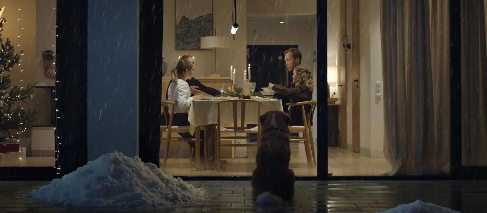 Pies to nie prezent, kampania Doliny Noteci 