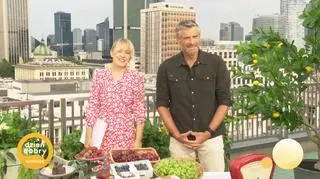 Praca przy zbiorach pomysłem na wakacje? 