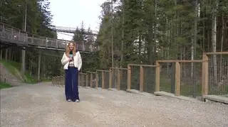 Niezwykły spacer w koronach drzew