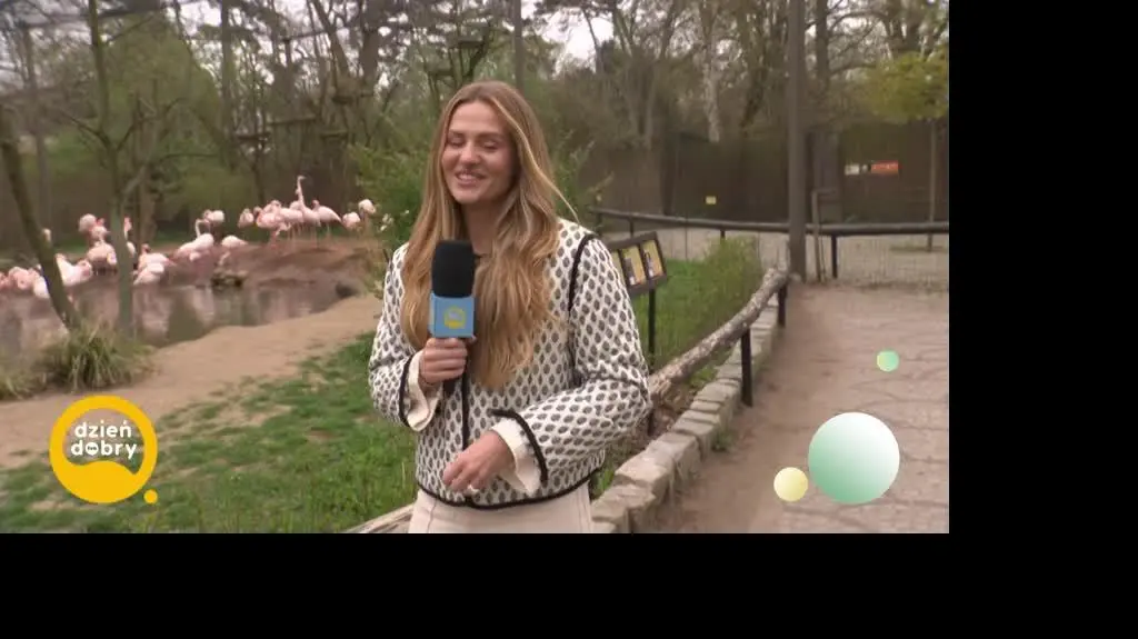 DD_20250411_Pogoda_REP