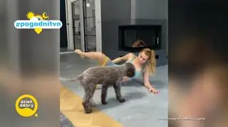 Pogodni TVN 