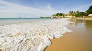 Trynidad i Tobago – historia i największe atrakcje