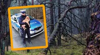 Pies uwięziony w plastikowym worku wyrzucony do lasu. Sprawca poszukiwany 