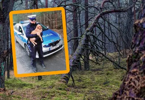 Pies uwięziony w plastikowym worku wyrzucony do lasu. Sprawca poszukiwany 