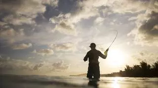 Spinning - skuteczna technika łowienia ryb. Jak ją opanować? 