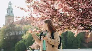 Rządowa aplikacja MonumentApp - do czego służy?