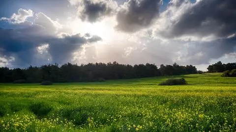 Pogoda na jutro. Jaka będzie temperatura we wtorek, 18 lipca?