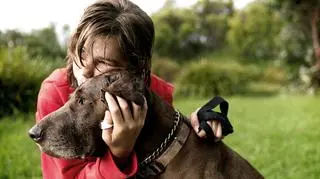 Oddali psa pod opiekę zaufanego człowieka. Gdy wrócili z urlopu, nie było po nich śladu