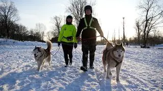 Nowe życie psów po przejściach