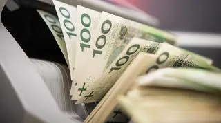 Polski Instytut Ekonomiczny wyliczył, ile wynosi majątek przypadający na przeciętnego Polaka. 