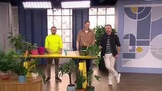 Przesadzamy kwiaty doniczkowe