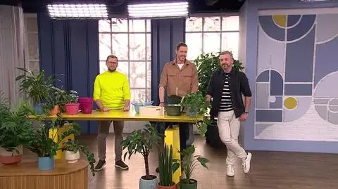 DD_20240227_Rosliny_REP