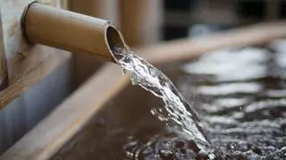 Woda źródlana pod lupą - czy warto ją pić?