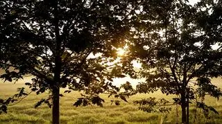 Pogoda na dziś. W wielu miejscach termometry wskażą nawet 30-32 stopnie