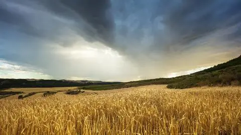 Pogoda na wtorek. Ile będzie stopni i gdzie będzie burza?