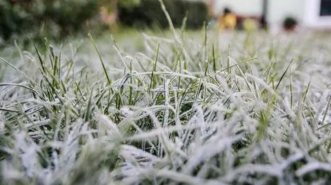 Pogoda na jutro. Gdzie możliwe będą przymrozki?