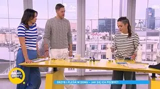 Pleśń i grzyb w moim domu. Jak je skutecznie zwalczyć?