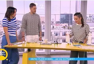 Pleśń i grzyb w moim domu. Jak je skutecznie zwalczyć?