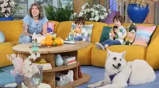 Pies i maluchy dały czadu w studiu Dzień Dobry TVN. Musiała pomóc Dorota Wellman 
