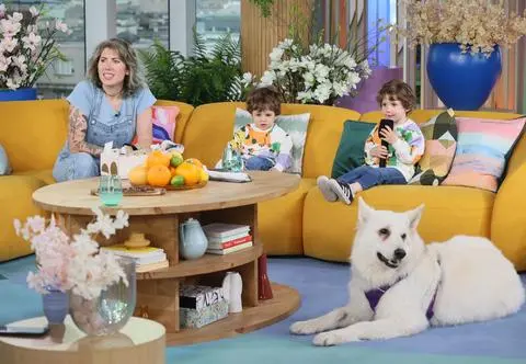 Pies i maluchy dały czadu w studiu Dzień Dobry TVN. Musiała pomóc Dorota Wellman 