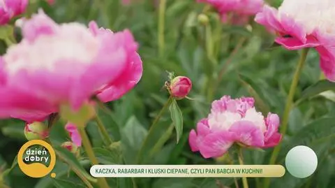 Klatka kluczowa-497949