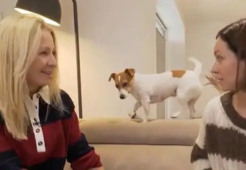 Pies, który uwierzył, że jest mamą. Bella zaadoptowała porzucone kocięta i karmi je własnym mlekiem