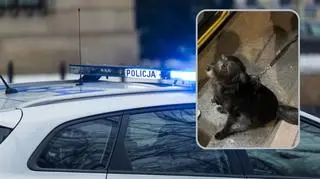 Pies pomógł odnaleźć zaginionego seniora. Mężczyzna z demencją leżał w zaroślach